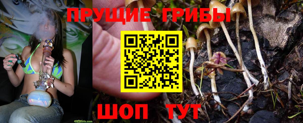 Псилоцибиновые грибы MAGIC MUSHROOMS  Вход с VPN  Павлово 